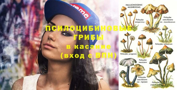 шишки Абинск